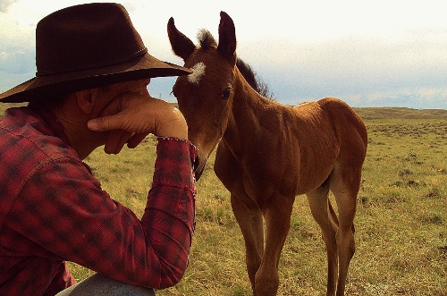 chris with foal (500x331).jpg