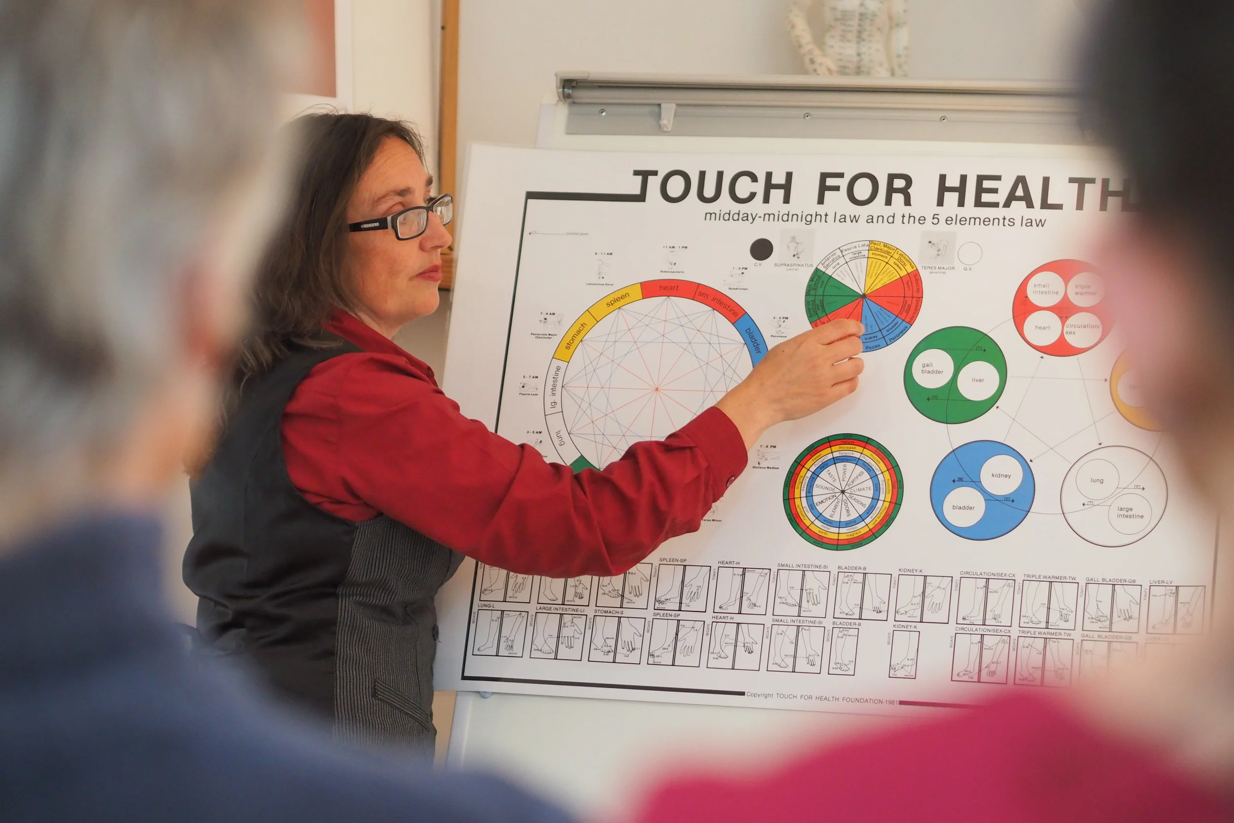 Touch for Health: Level III