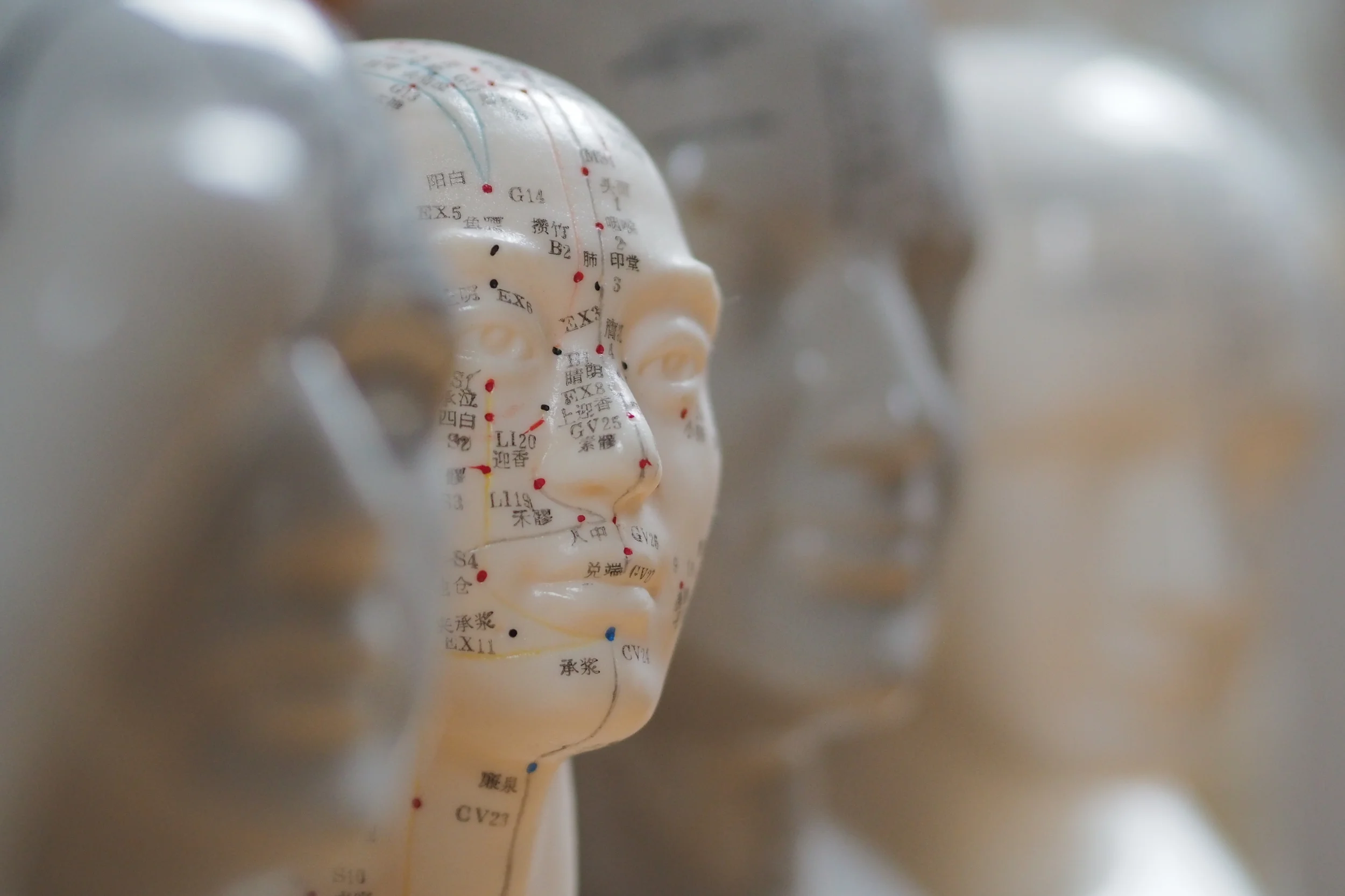 Touch for Health Proficiency