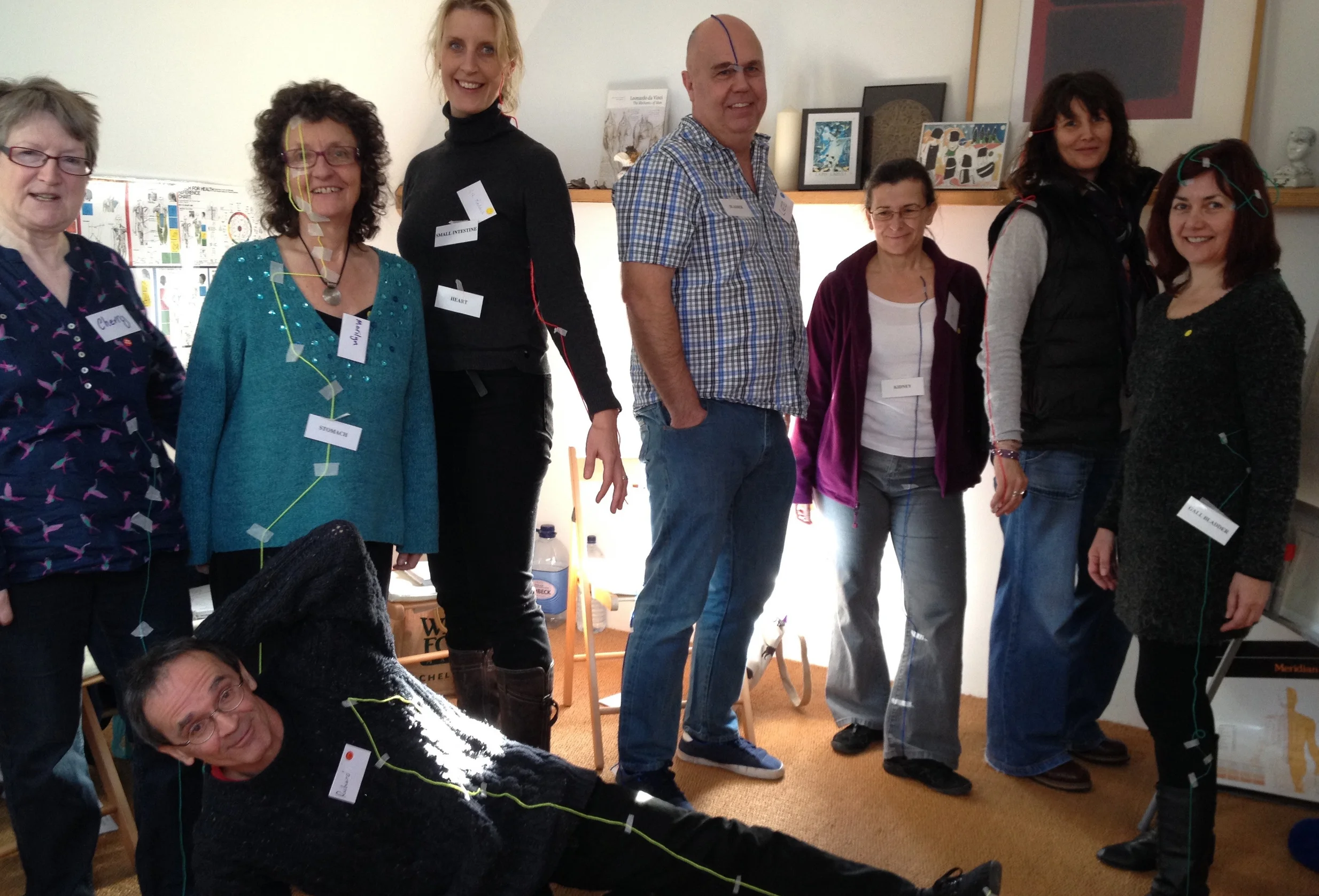 Why I Love Teaching Touch for Health Kinesiology