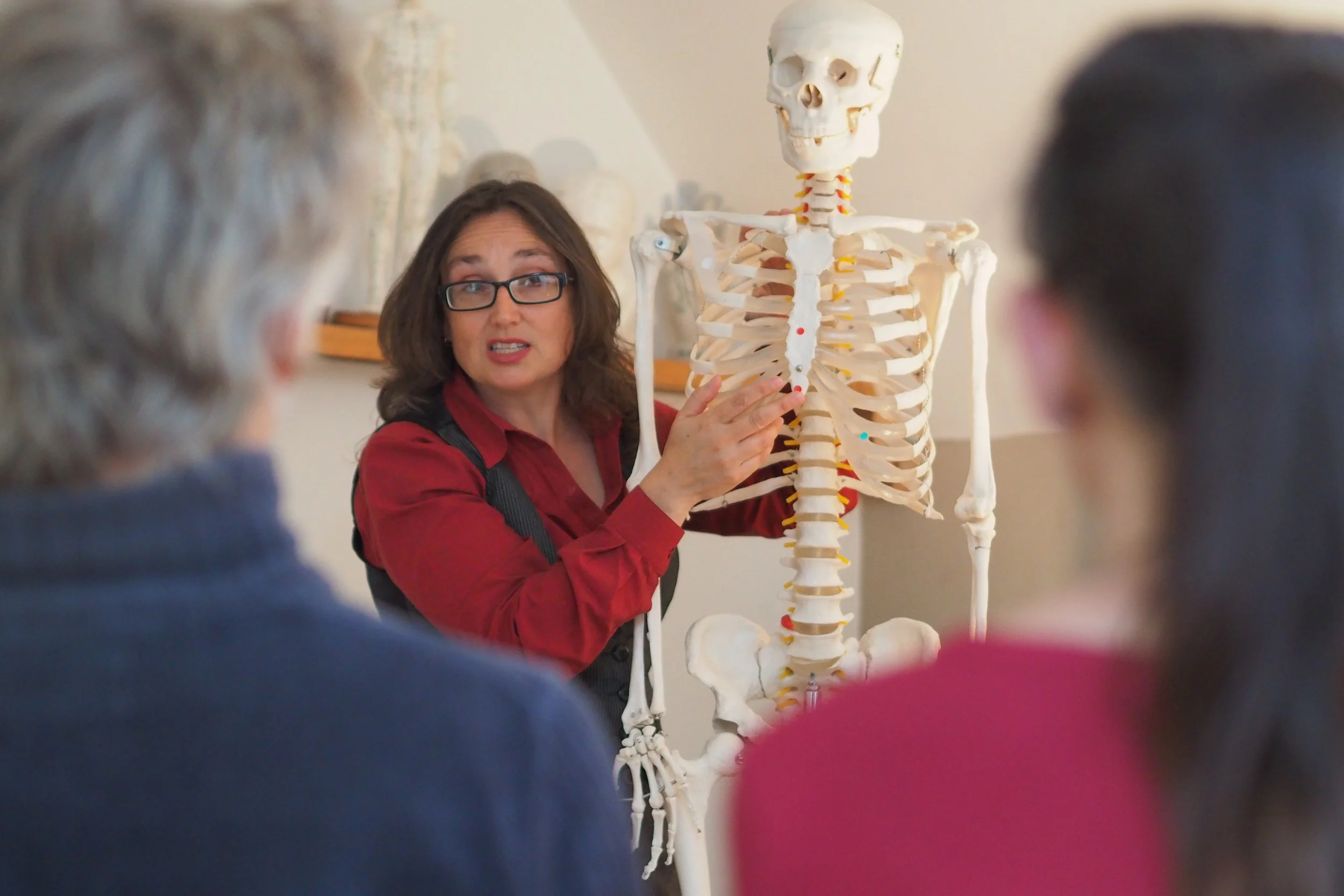 Muscles for Movement