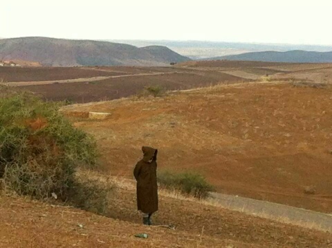 Location: A dry field in the Beht valley- Khemisset (13-9-2014) Caption: A grief-stricken farmer watching his arid field with sorrow. The soil has cracked because of dryness and lack of irrigation water. He prays for the miracle that will save his dying field. 