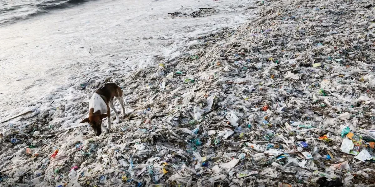 Plastic pollution (Canada)