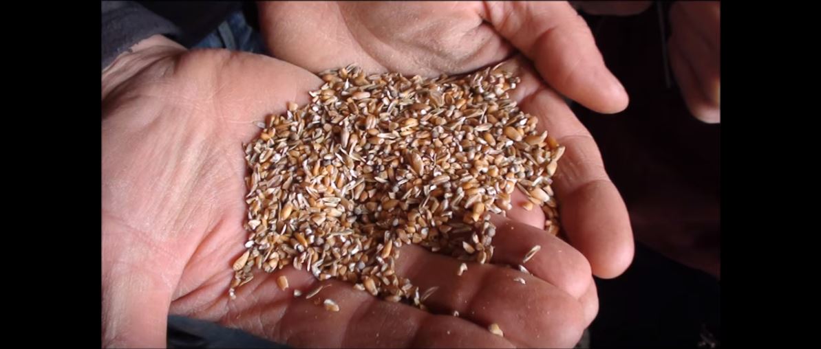 Bready steady sort in Blaise Pascal High School (France)