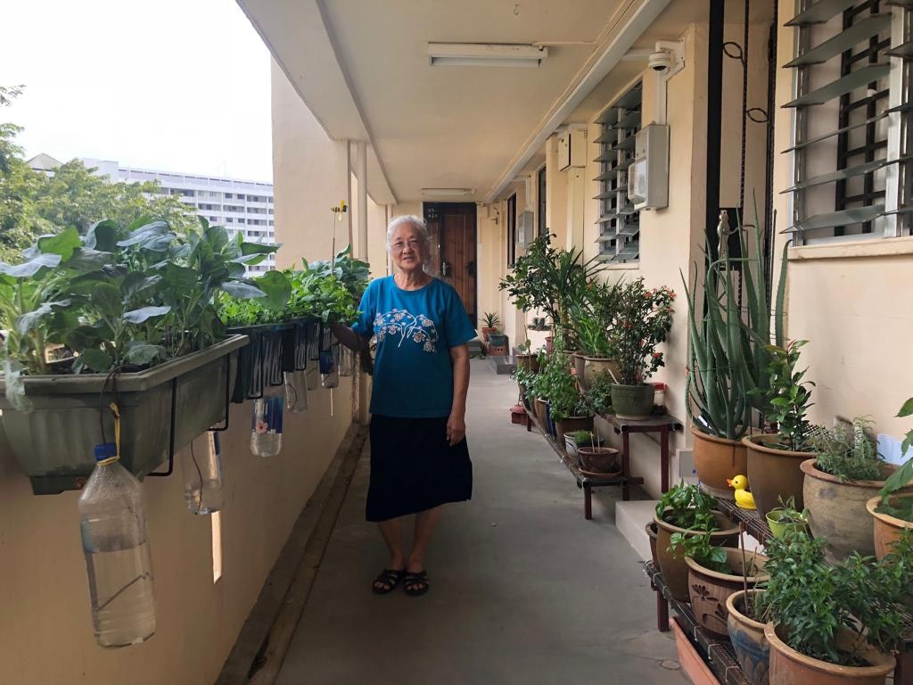 My Grandma and Her Mini-Garden