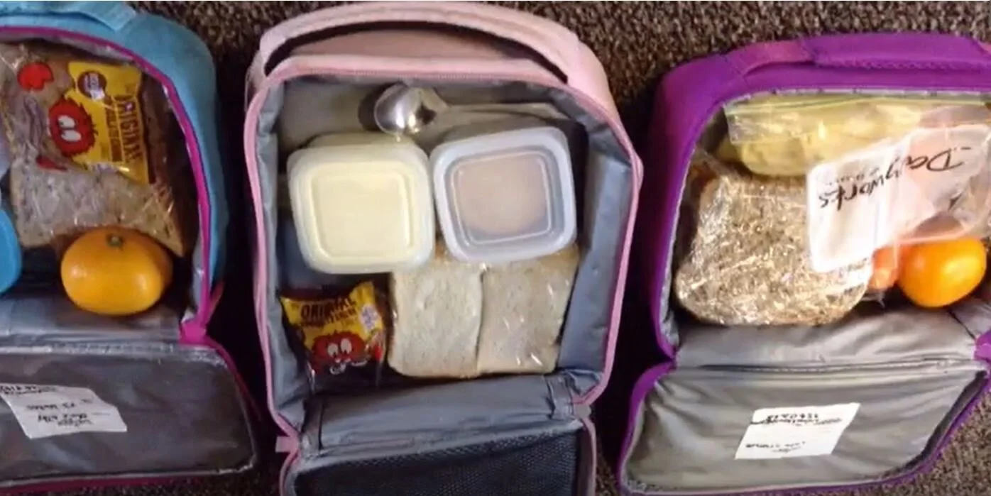 Litter in your lunch (New Zealand)