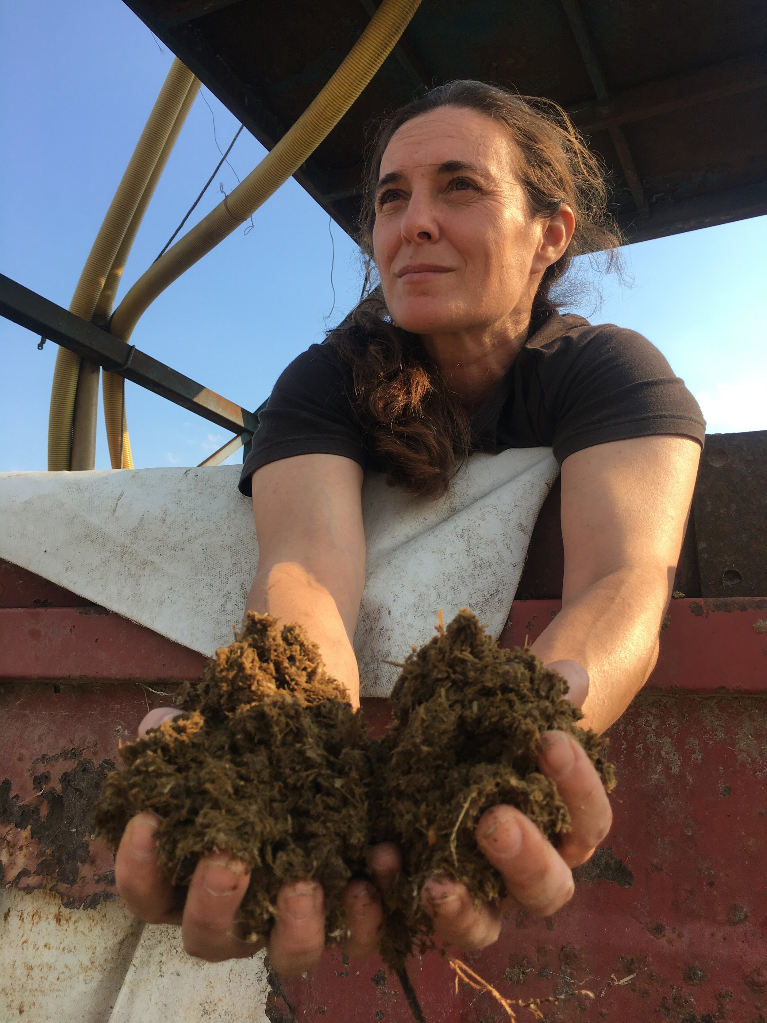 Aysun Sökmen “Gündönümü Farm” in Çerkezköy: 