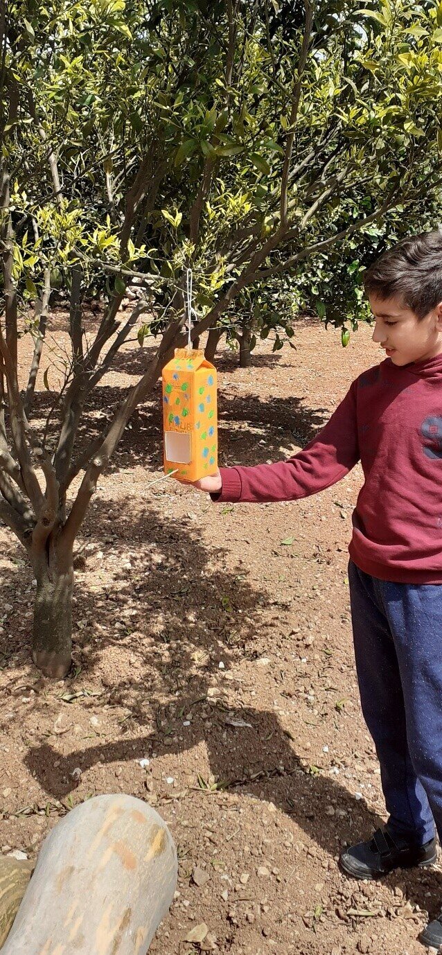 DINGLI PRIMARY SCHOOL, Malta - birdfeeder using recycled material.jpg