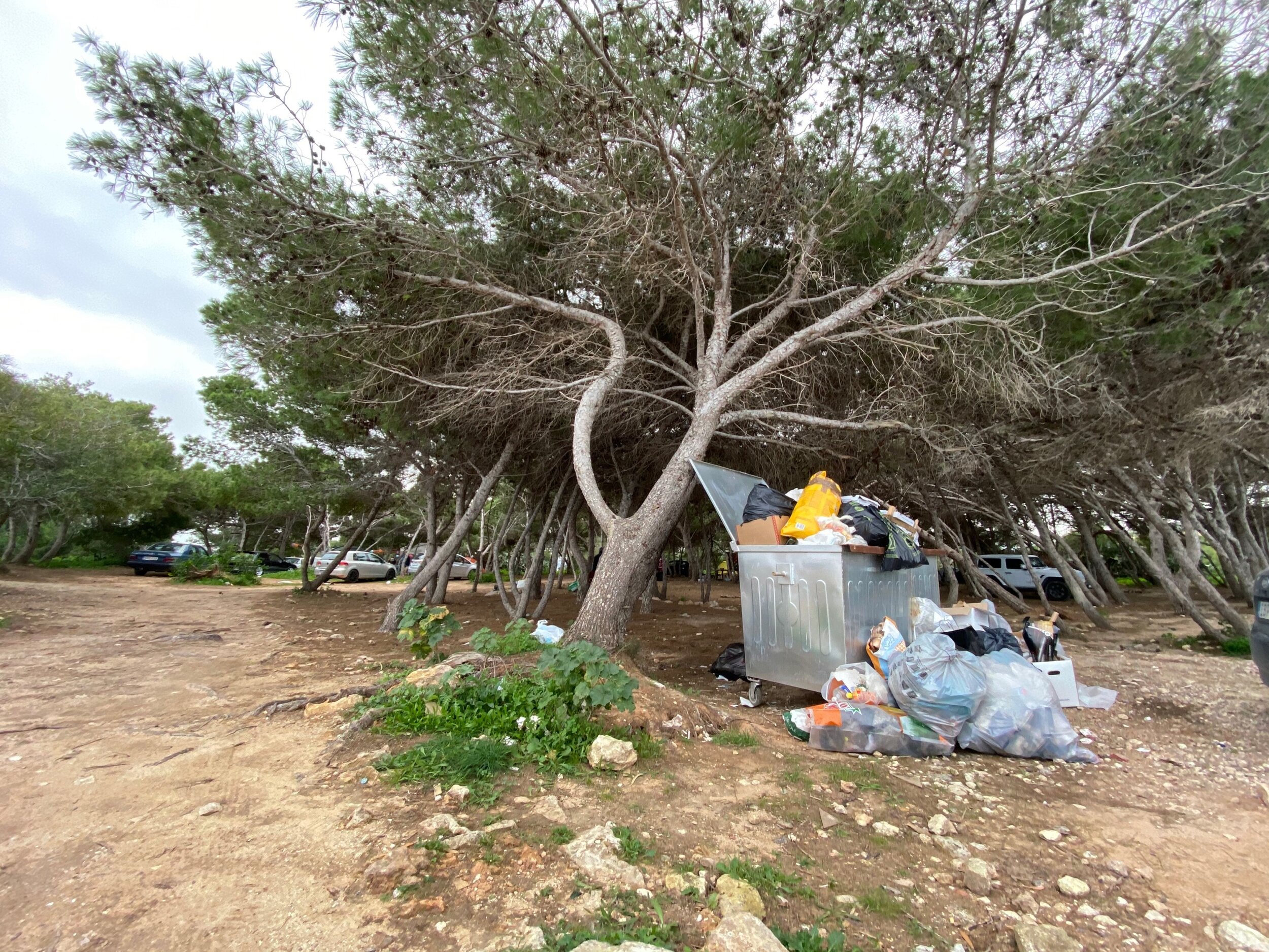 The aftermath of camping, DINGLI PRIMARY SCHOOL, Malta.jpg