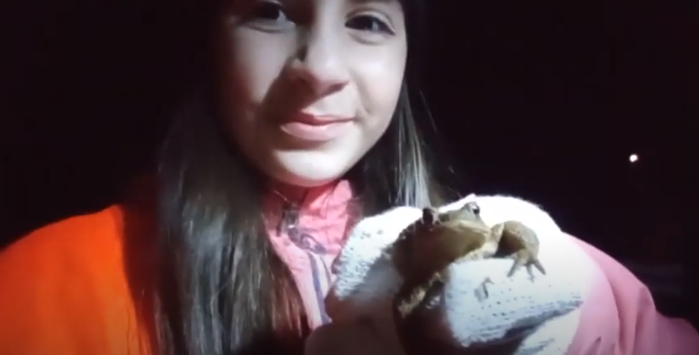 “FEARLESS” RESCUER (Slovakia) Category: Loss of Biodiversity