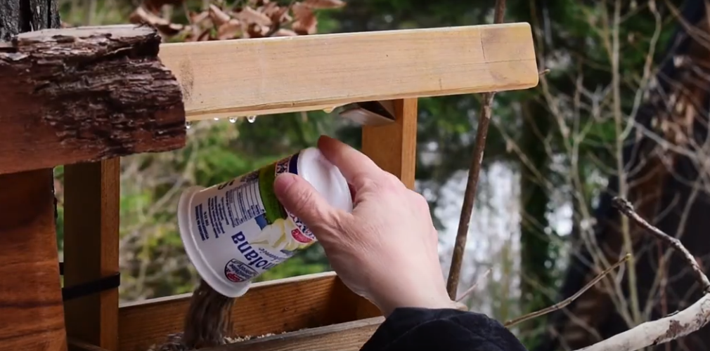 NATURE CONSERVATION AT RISK (Slovakia) Category: Loss of Biodiversity