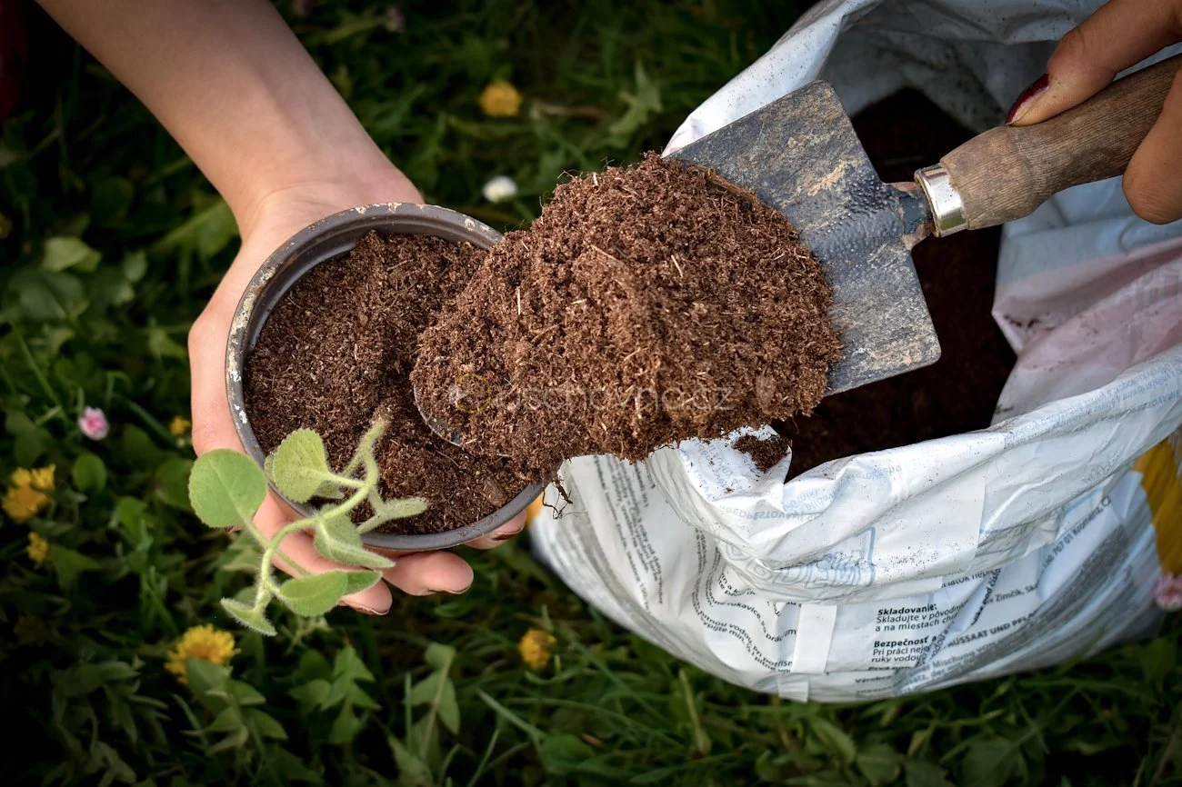 PEAT-FREE GARDENING: PROTECTING THE CLIMATE - Slovakia