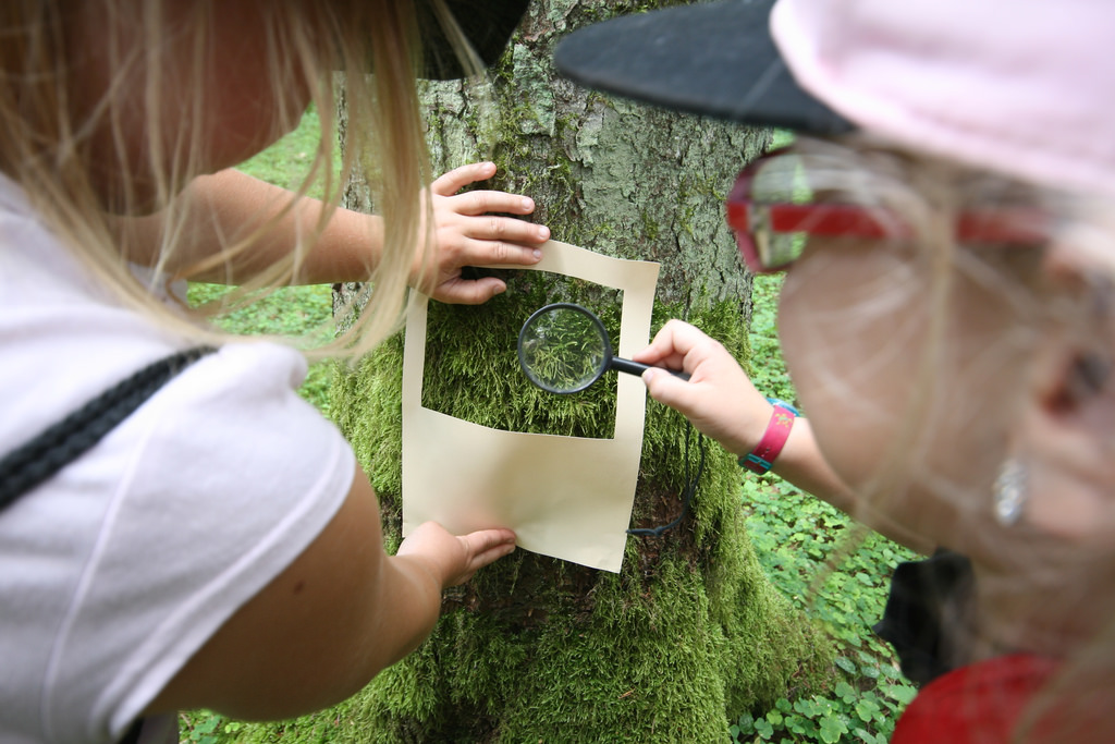 Our Programme — LEAF - Learning about Ecosystems and Forests