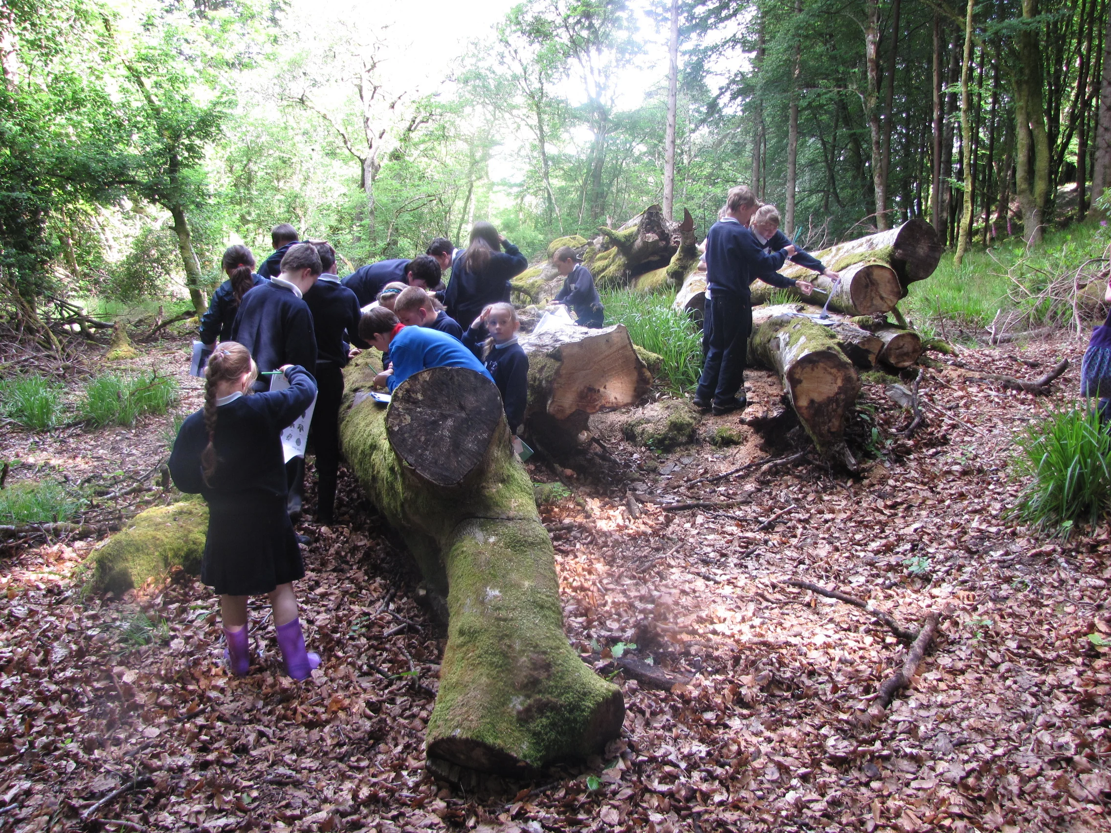 Teaching Materials — LEAF - Learning about Ecosystems and Forests