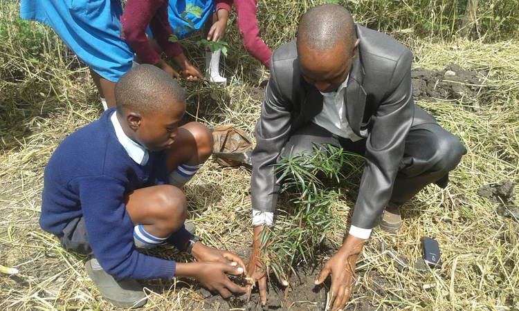 Our Programme — LEAF - Learning about Ecosystems and Forests