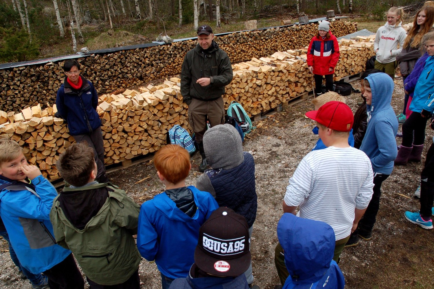 Our Programme Leaf Learning About Ecosystems And Forests