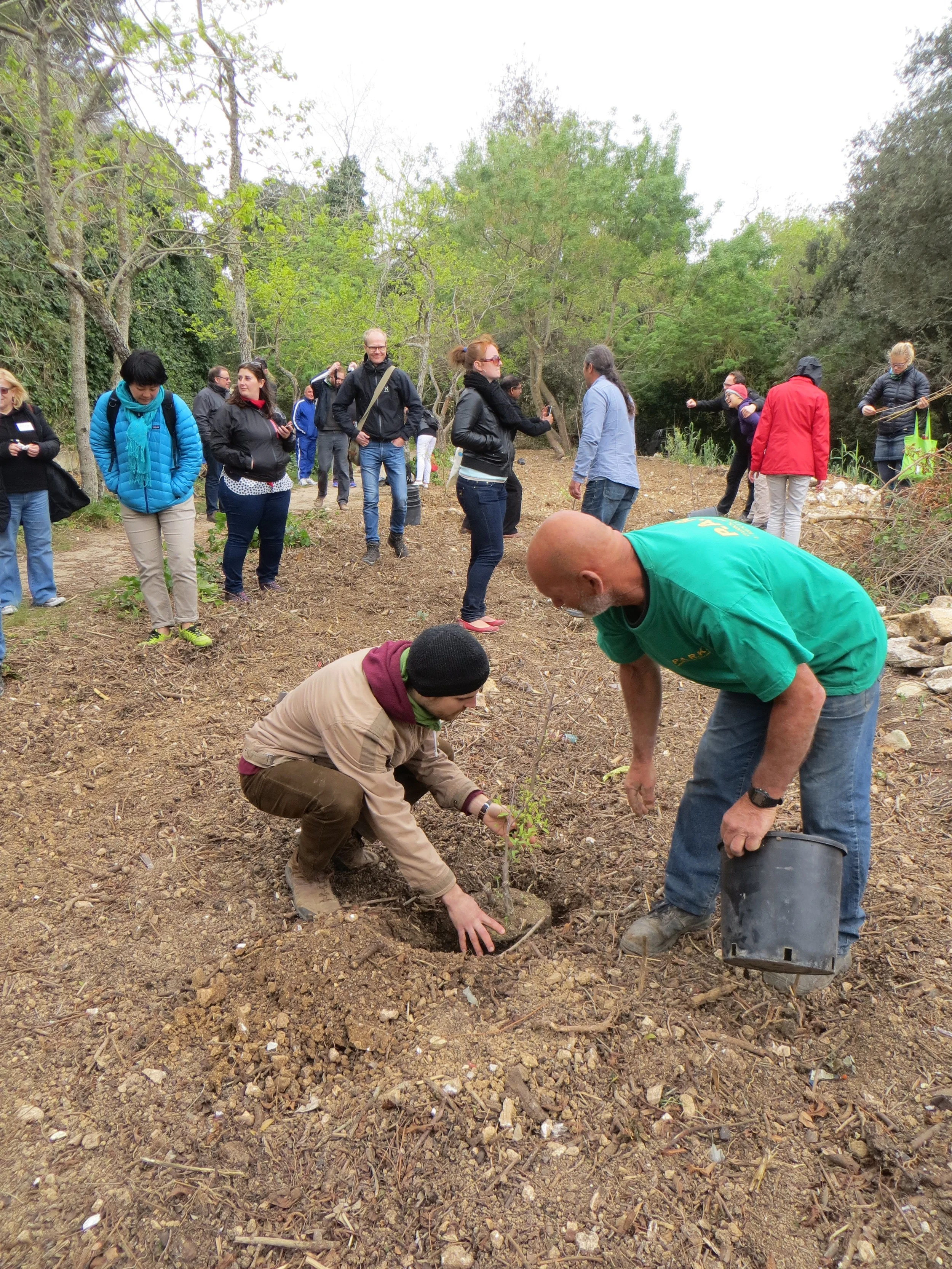 Tree Planting LEAF NOM Malta 2016 (18).JPG