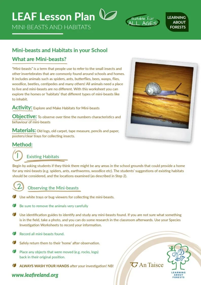 Mini-beasts and Habitats in Your School