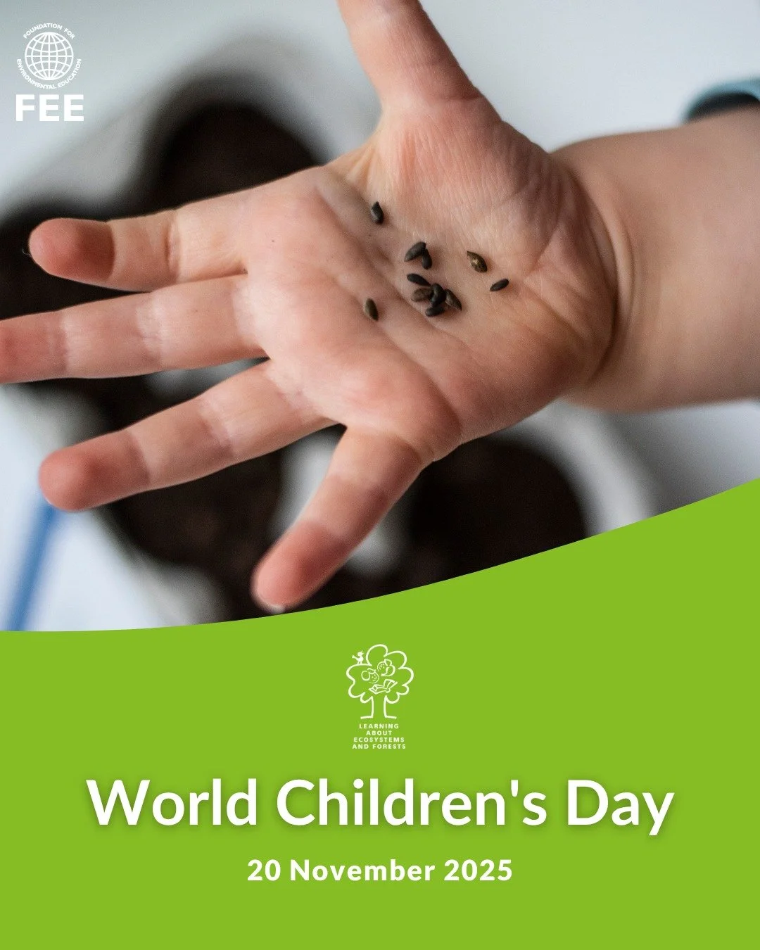 Children learn best when they learn in nature. Through LEAF, students explore forests, ecosystems and biodiversity, gaining a deeper understanding of how their actions impact the natural world. 

Every tree planted, every creature observed and every 