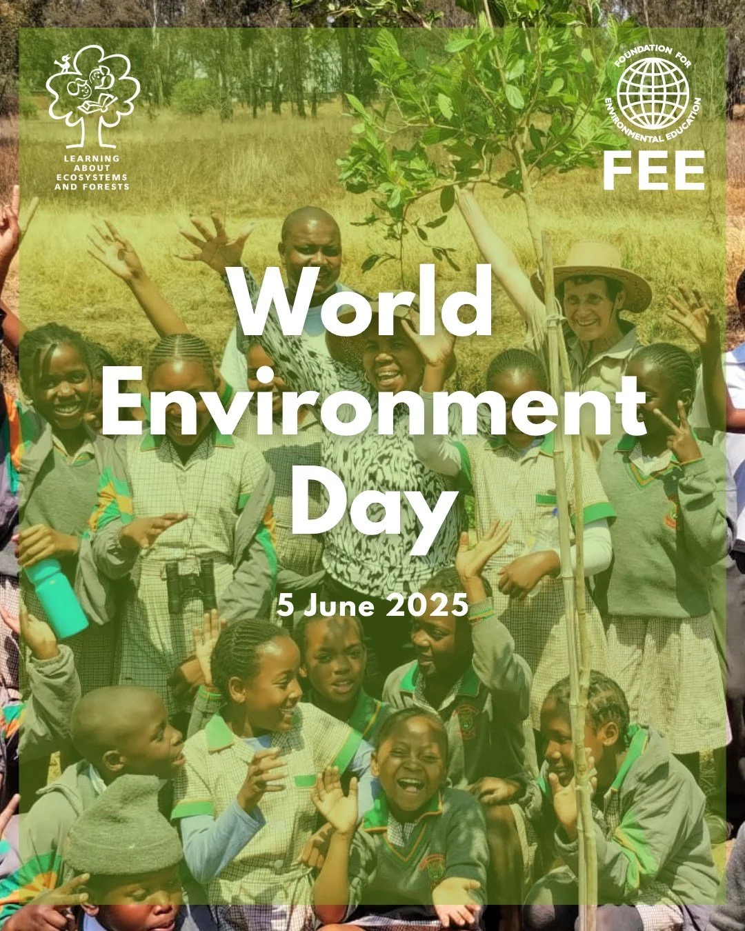 This World Environment Day, try a new approach to celebrating the environment with our LEAF (Learning about Ecosystems and Forests) programme! ☘️ 

For 25 years, LEAF has been connecting learners and educators with their environment. At the heart of 