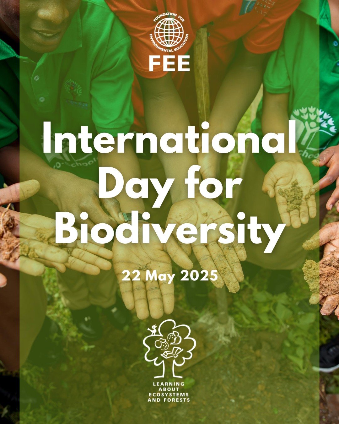 We&rsquo;re celebrating #BiodiversityDay today! 
Biodiversity plays a critical role in keeping ecosystems healthy and functioning, not to mention its importance for food, medicines and more around the world.

Want to take some time today and learn mo