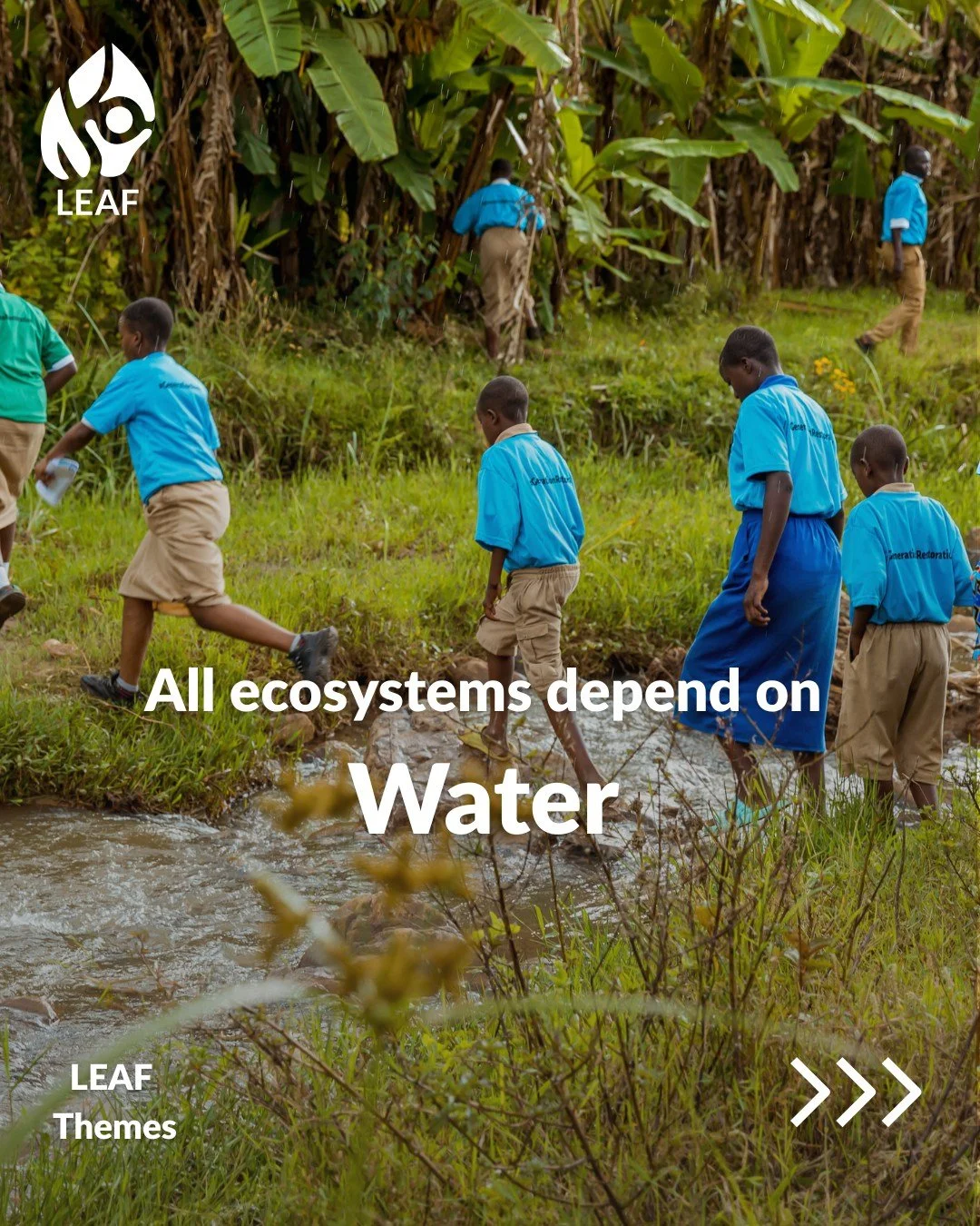 Meet the new and refreshed LEAF themes: Water 🌊 

Water connects all ecosystems. From rivers and lakes to mangroves, coasts, and oceans, it drives the essential processes that sustain life. It shapes habitats, transports nutrients, filters pollutant