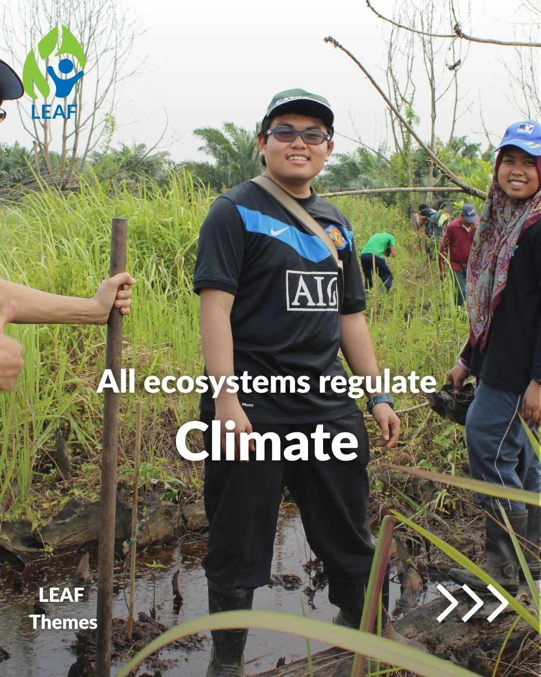 🌦️ Meet the New and Refreshed LEAF Themes: Climate

Climate is shaped by living ecosystems. Forests, oceans, and soils help store carbon, regulate water cycles, and reduce temperature extremes: supporting life on Earth.

With updated visuals and ref