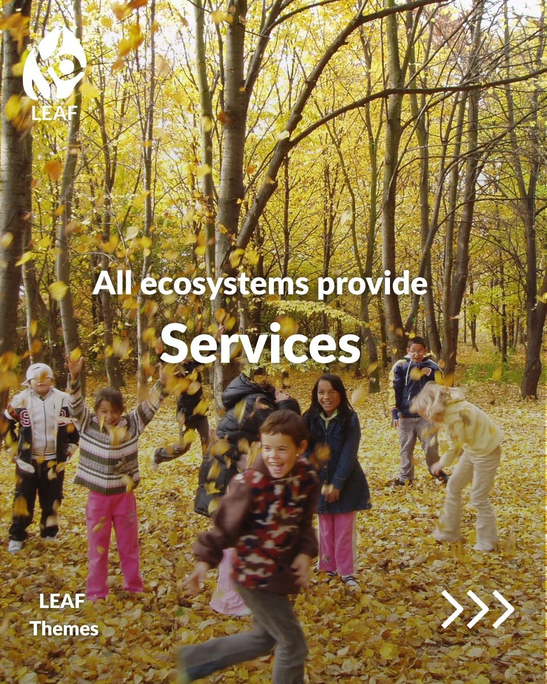 🍎 Meet the New and Refreshed LEAF Themes: Services

Services are the benefits people receive from nature. Healthy ecosystems provide food, clean water, breathable air, and support our physical and mental wellbeing.
With updated visuals and refreshed