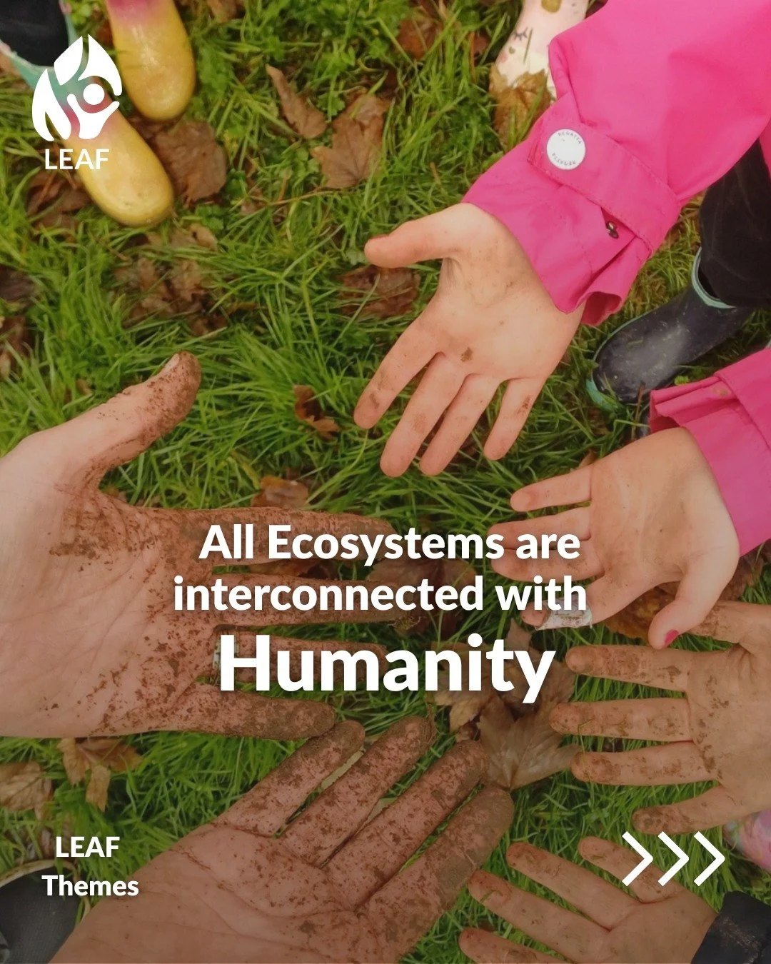 🧑&zwj;🤝&zwj;🧑 Meet the New LEAF Theme: Humanity

Humans are part of every ecosystem. The land, water, plants, and animals around us shape our cultures, identities, and communities. Yet we often lose sight of this connection.

In this new Theme, LE