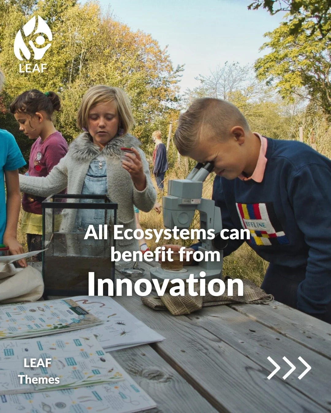 💡 Meet the New and Refreshed LEAF Themes: Innovation

Innovation brings together new and traditional ways of responding to environmental challenges, drawing inspiration from nature and using technology to support resilient ecosystems.

With updated 