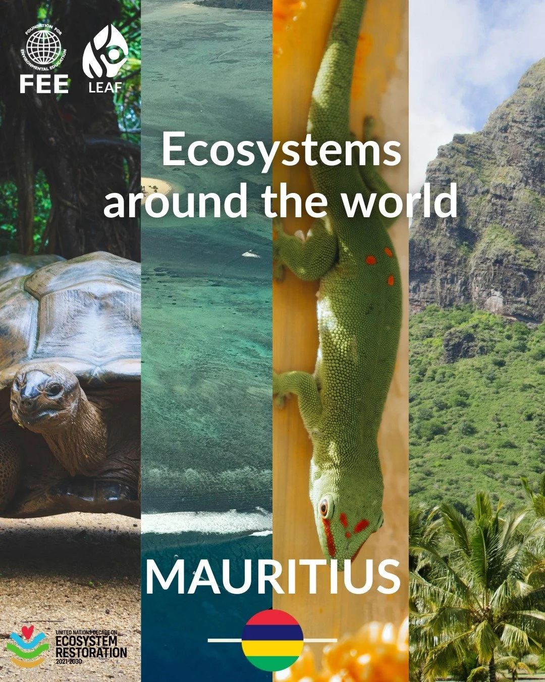 🌐 Discovering Ecosystems with LEAF: Mauritius

Mauritius is home to remarkable ecosystems, from coral reefs and mangroves to lush forests and volcanic landscapes. Its unique biodiversity supports rare wildlife, endemic plant species, and communities