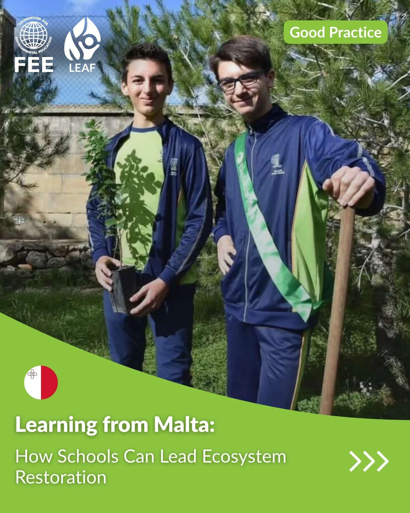 🌿 Learning from Malta: How Schools Can Lead Ecosystem Restoration

LEAF Malta showcases how education, outdoor learning, and community action can support ecosystem restoration and long-term environmental stewardship.

The LEAF methodology, particula