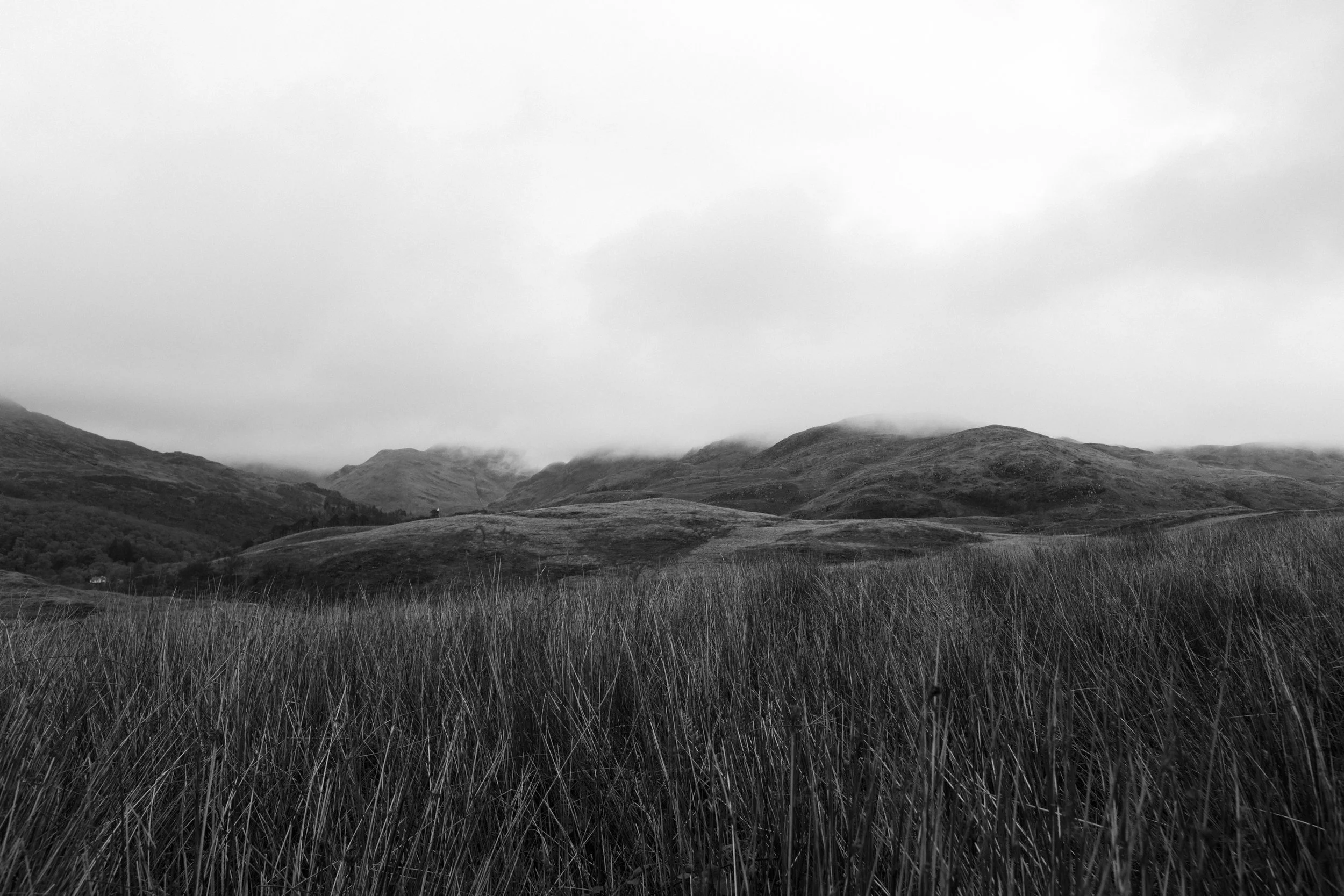 RoadTrip_009.jpg