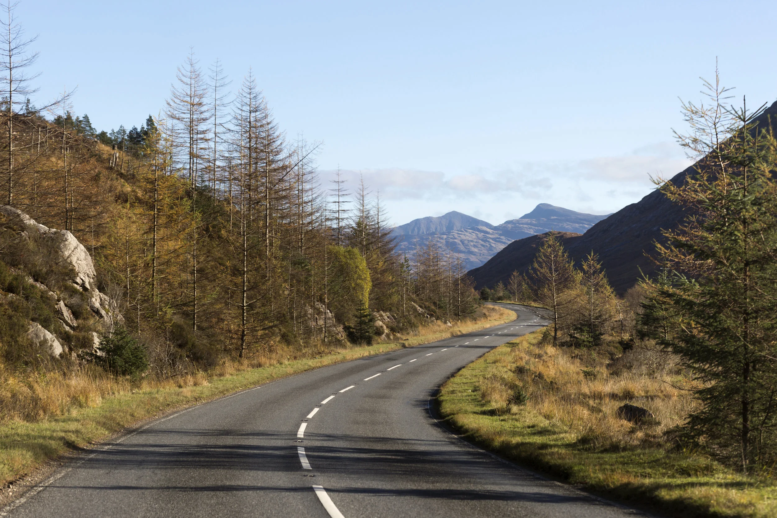 RoadTrip_016.jpg