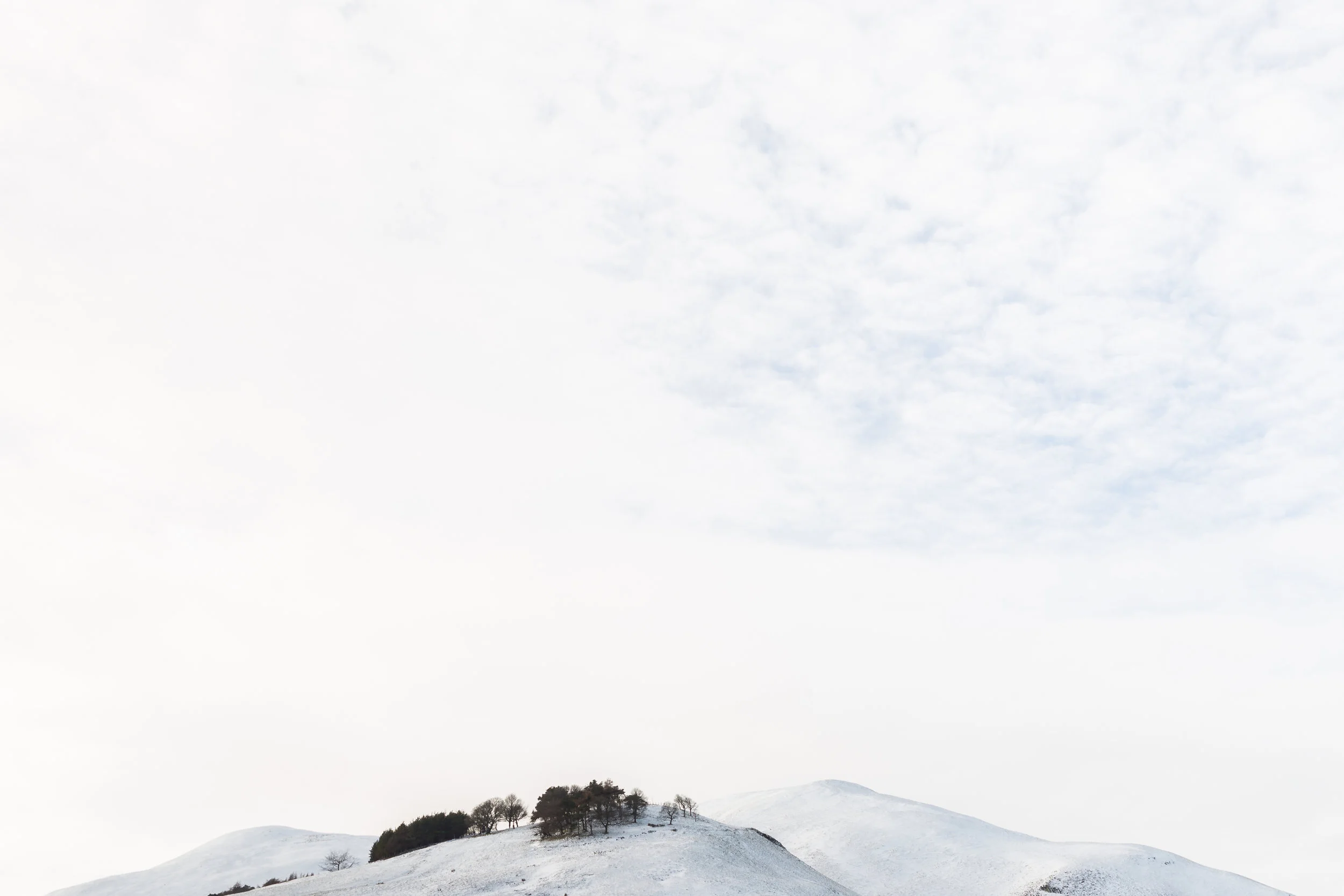 AlixMcIntoshLocation_035.jpg