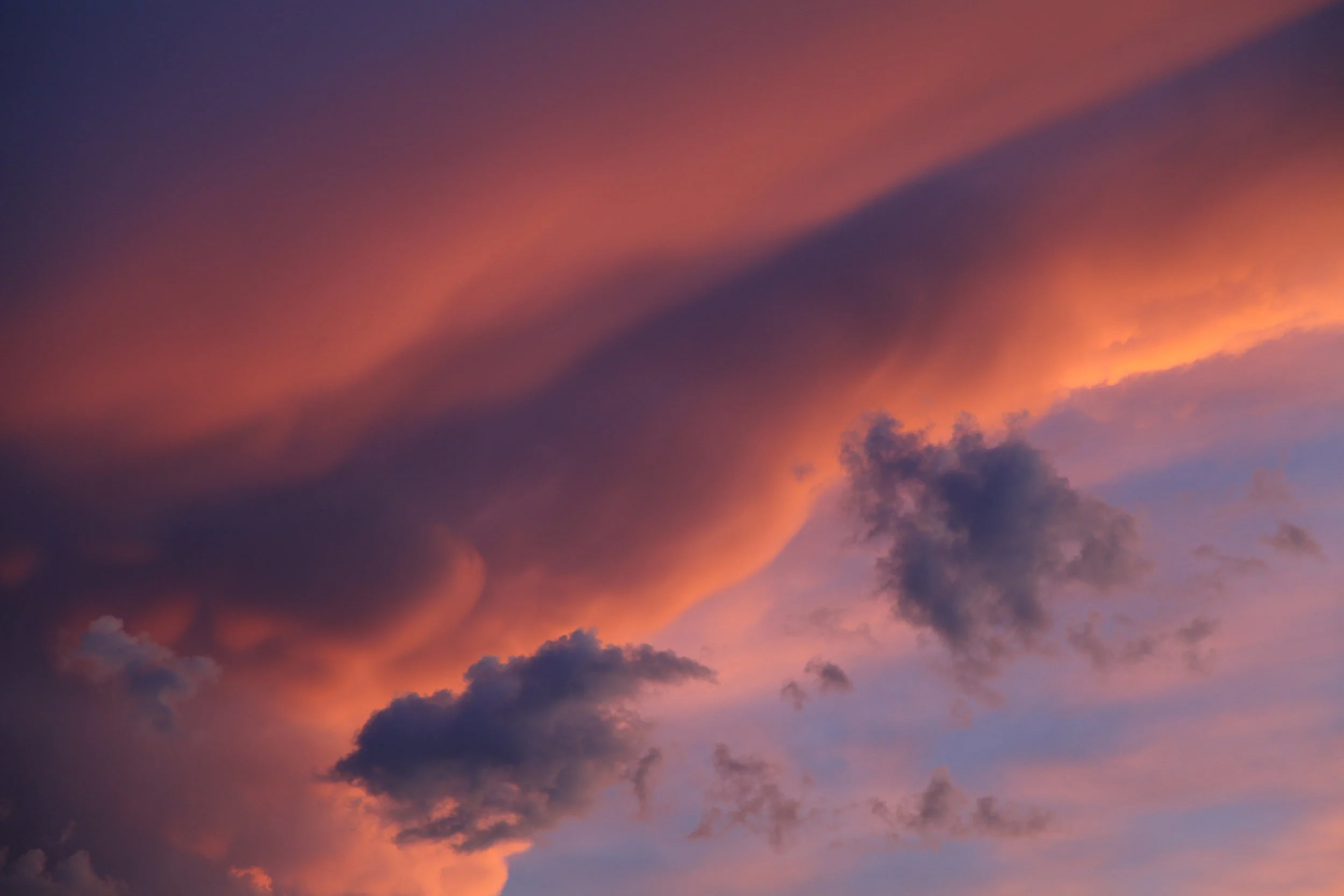 This Is Your Brain on Nature // National Geographic Magazine