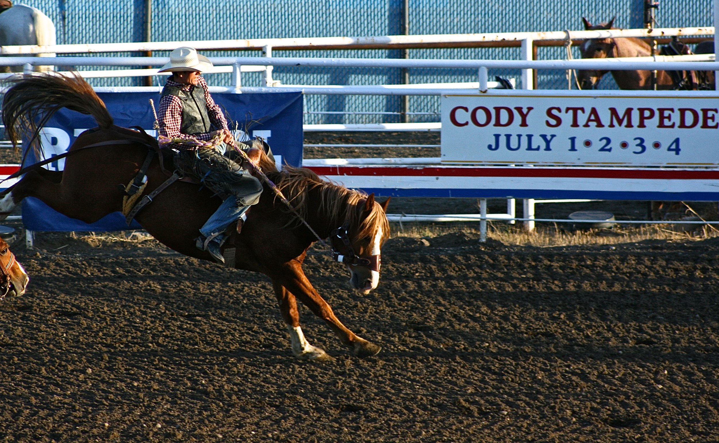 Welcome to Cody