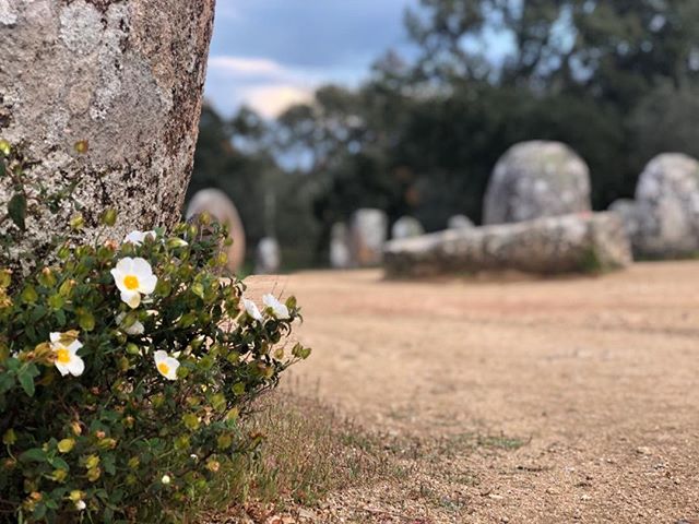 The monoliths, older than Stone Henge, 6k along a dirt track, no admission and not a soul in sight, near Évora, Portugal. So much here to explore.