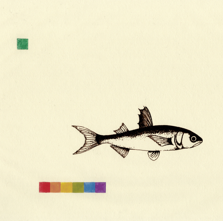 Sea (fish) Ink & gouache on paper 2010