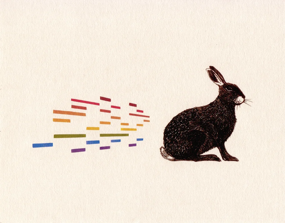 The Irish Hare Open edition print 2011