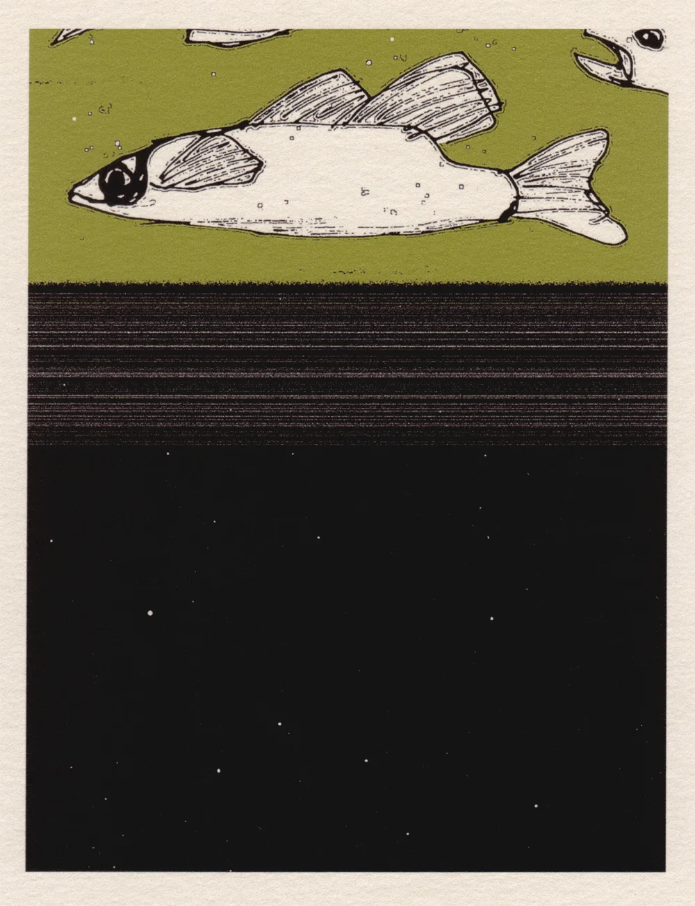 Flying Fish Open edition print 2001