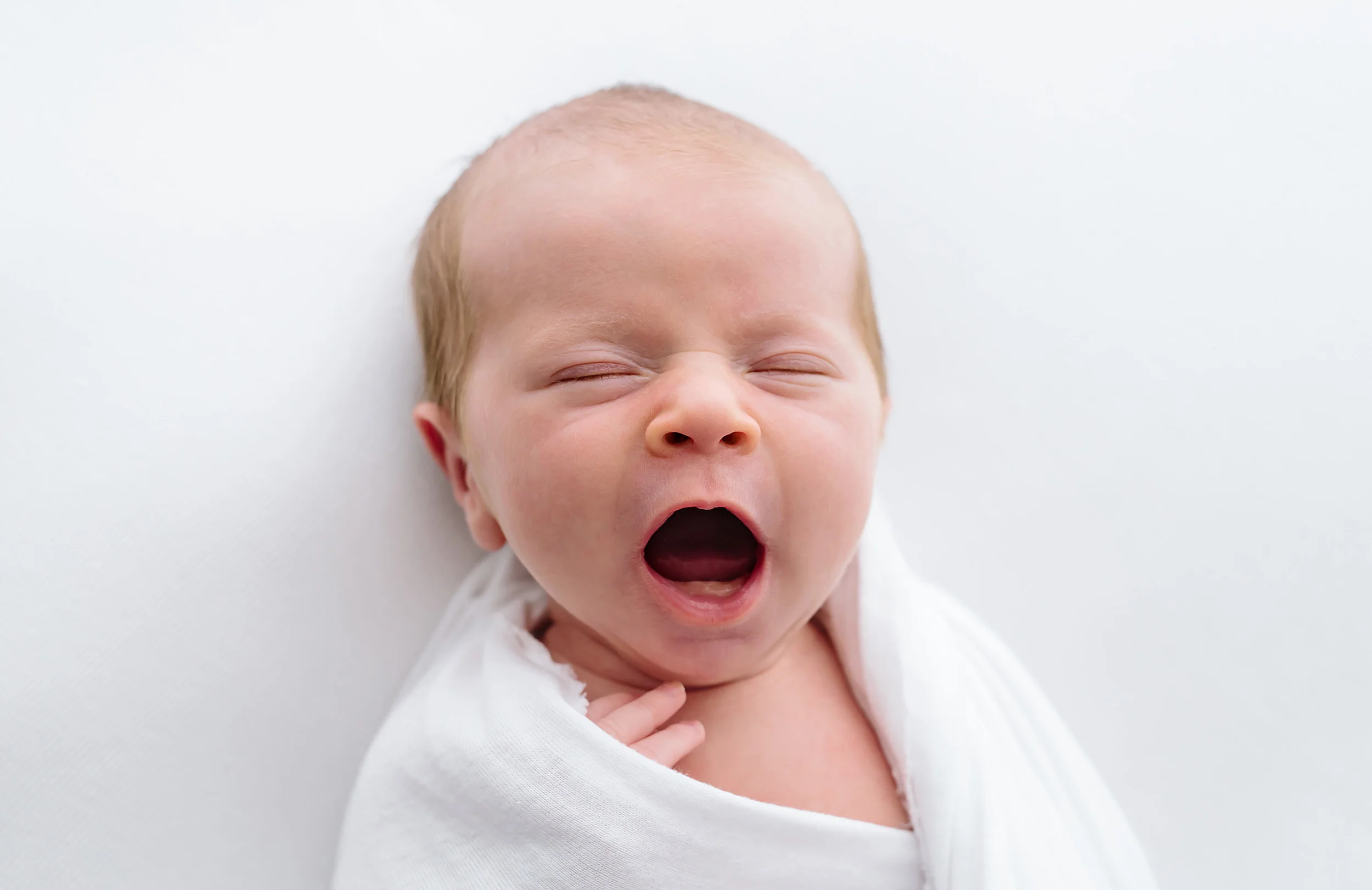 newborn-photography-melbourne.jpg