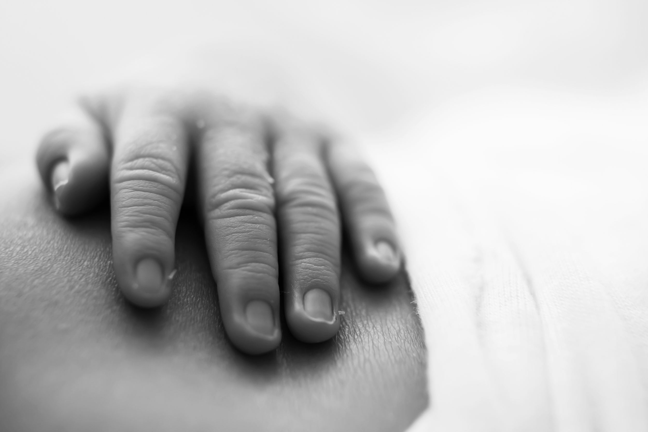 Detail photo of a newborn baby's hand in black and white taken by a professional photographer in Melbourne
