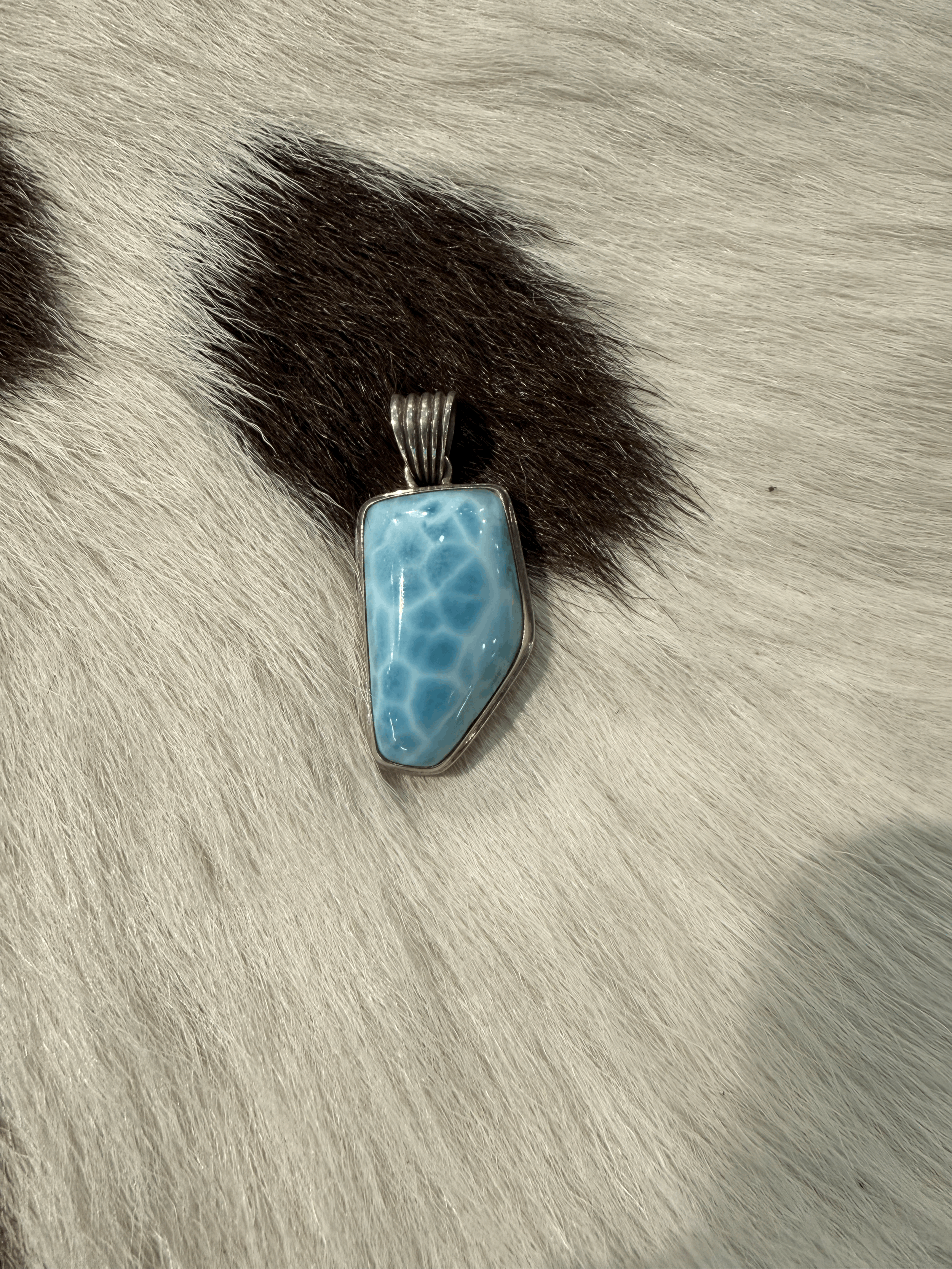 tempImage8lmjL2.gif