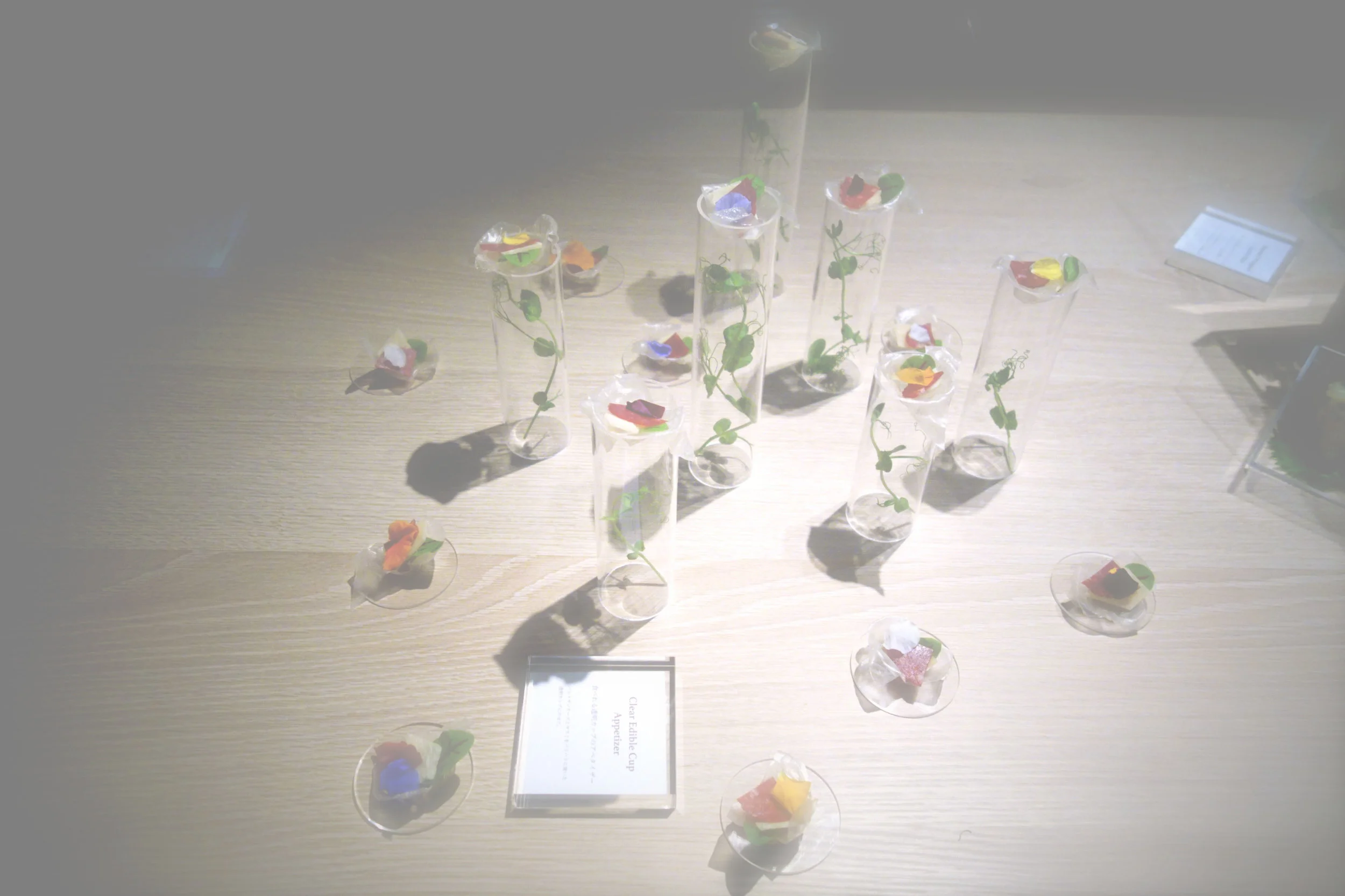 DSC05907のコピー.jpg
