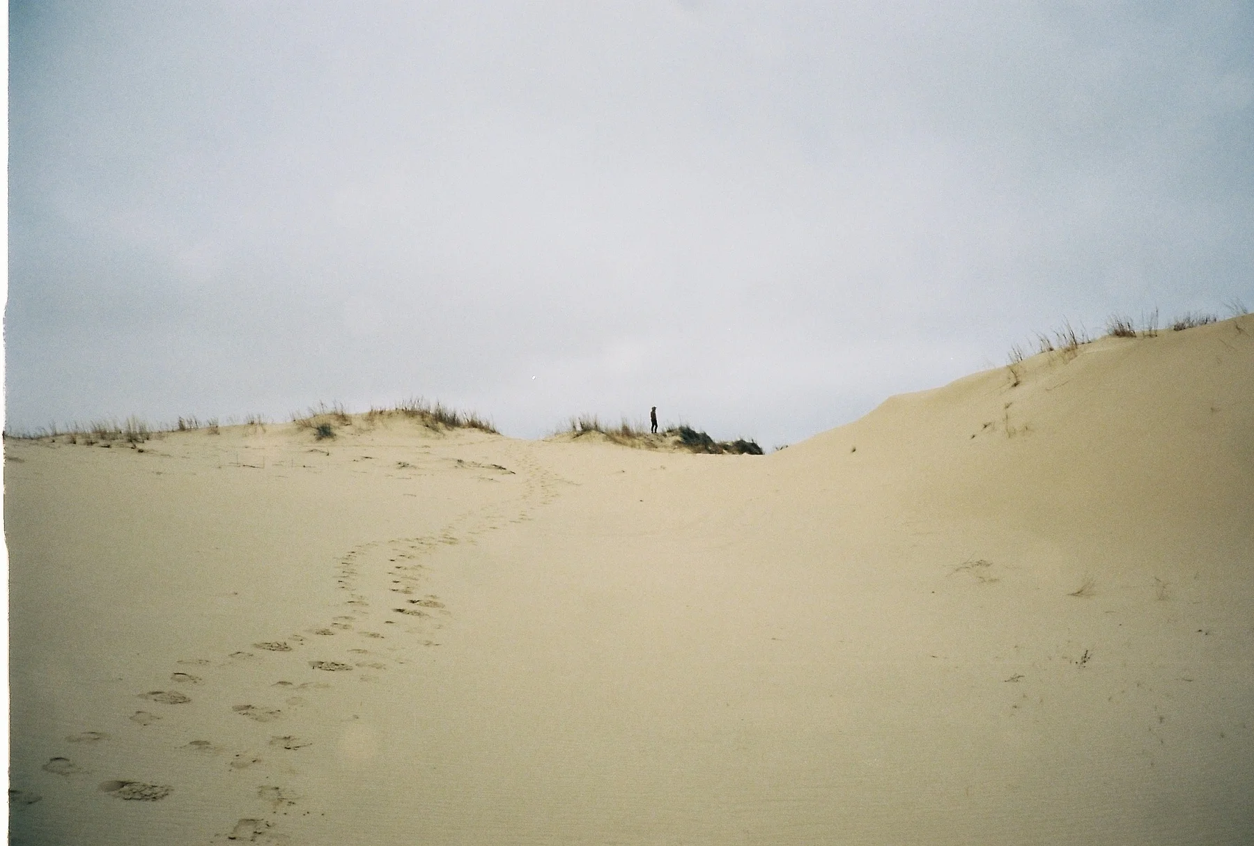 446461-R1-27-10A.jpg