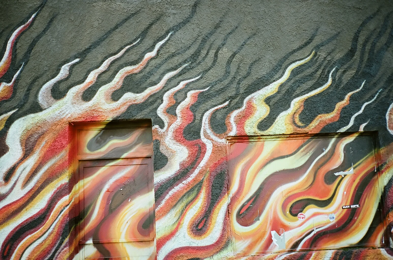 07920018.JPG