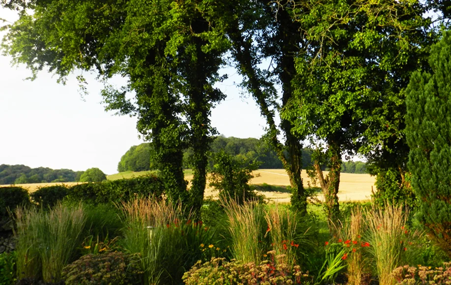 FIELDS BEYOND.jpg