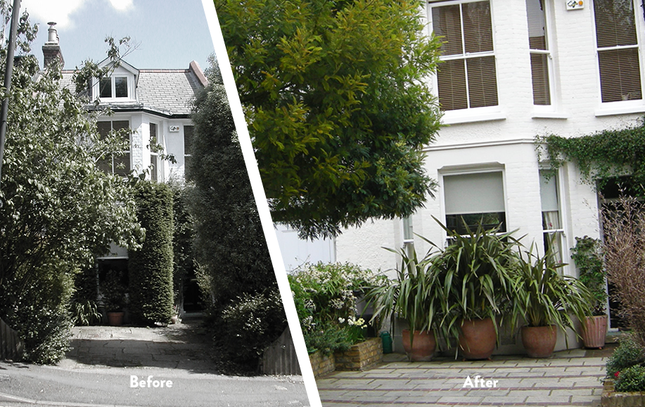 BEFORE-&-AFTERS.png
