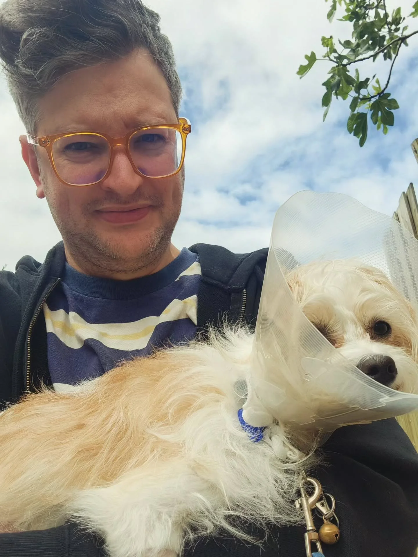 Fizzgig had to get a knee operation and now wears a cone of shame.

On a totally unrelated note, please subscribe to my patreon.